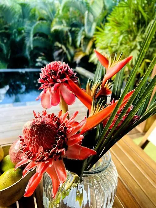 O Palm : Dans Un Petit Ecrin De Verdure Saint-Joseph